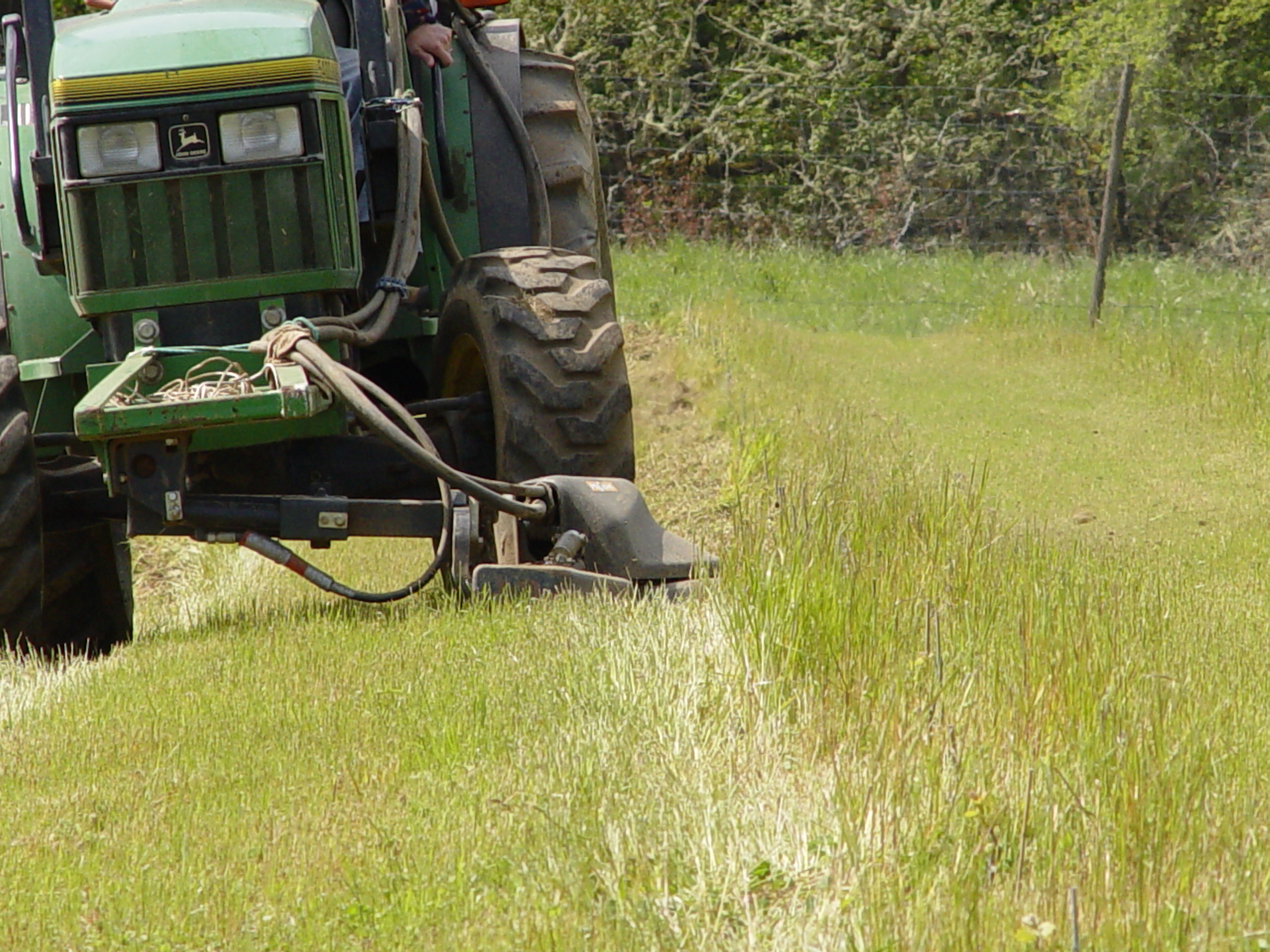 Vineyard Work! 1