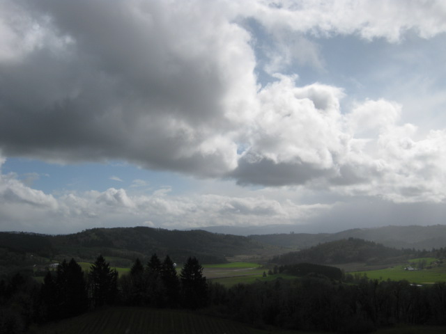 Oregon Wine Country 1 Oregon Wine Country 1