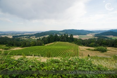 Wine Country Weddings 2