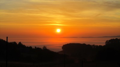 Oregon Wine Country 2