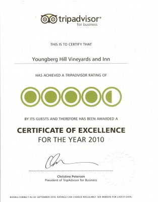 TripAdvisor Award 1