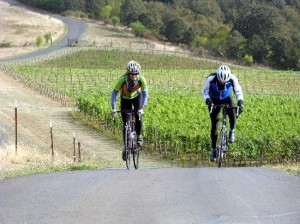 Bicycle Oregon Wine Country 1 Bicycle Oregon Wine Country 1