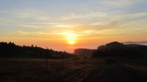 Oregon Wine Country 1