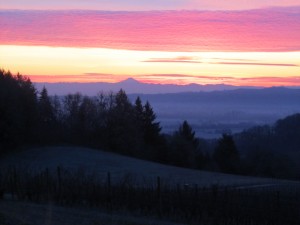 Sunrise in Oregon Wine Country 1 Sunrise in Oregon Wine Country 1