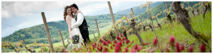 Wine Country Weddings 1
