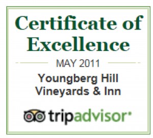 TripAdvisor Award of Excellence 1