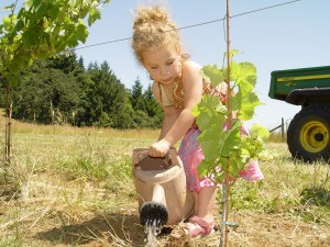 How Wine Making is Like Raising Children 1