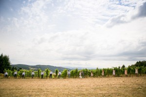 Wine country wedding