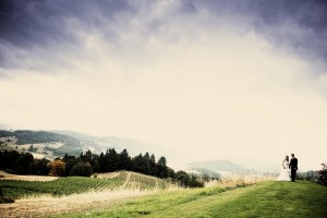 Wine country wedding