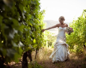 Wine country wedding