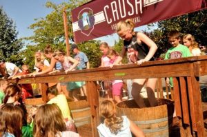 Top 5 Festivals for Fall Wine Events 1