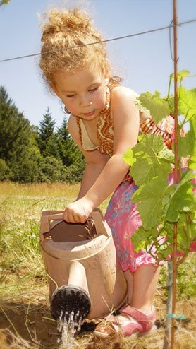 A young girl with curly hair waters a small plant with a plastic watering can in a sunny garden.
