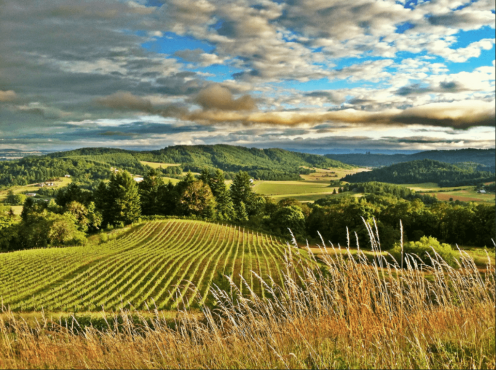 willamette valley