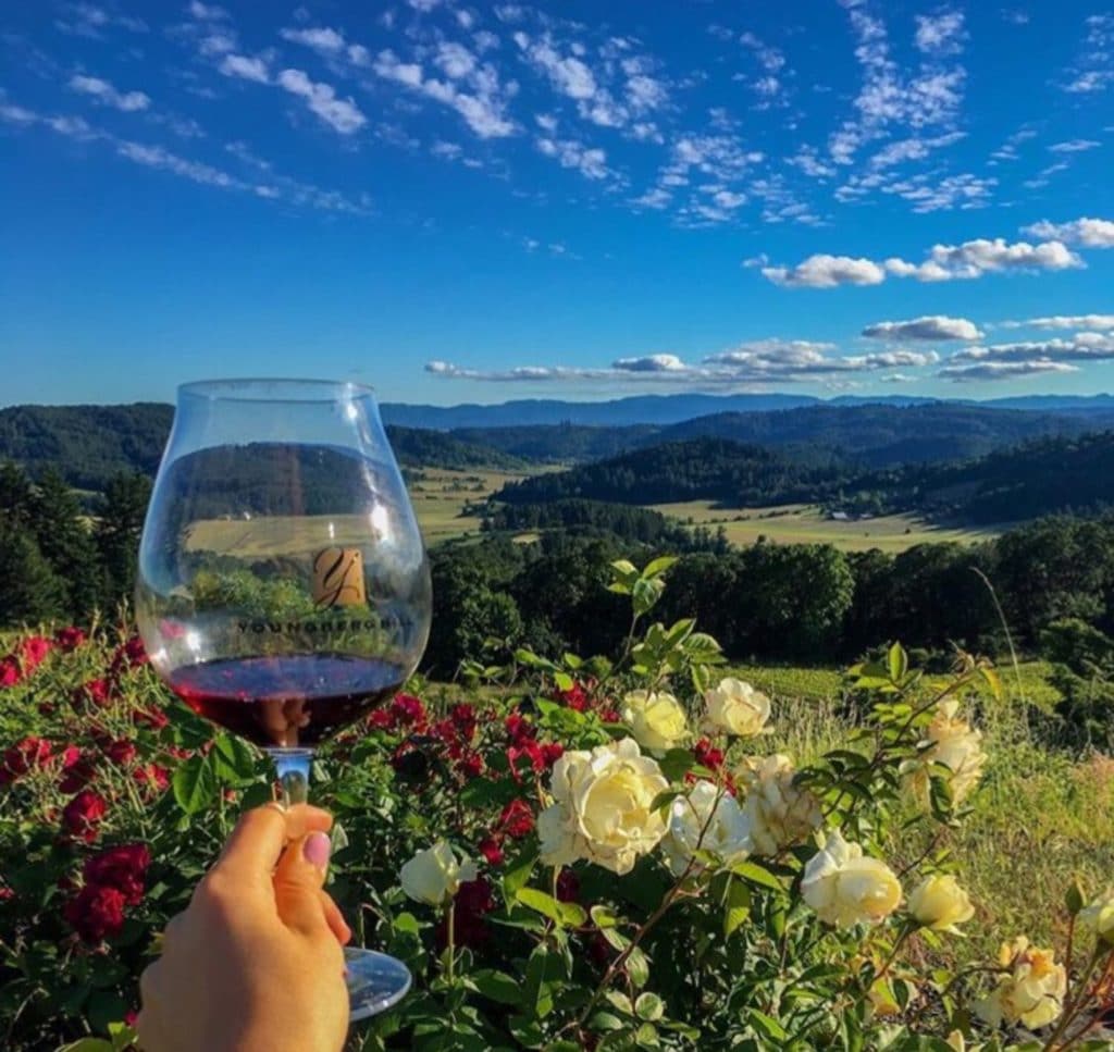 person holding up wine glass at youngberg hill