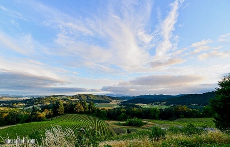 view of the willamette valley