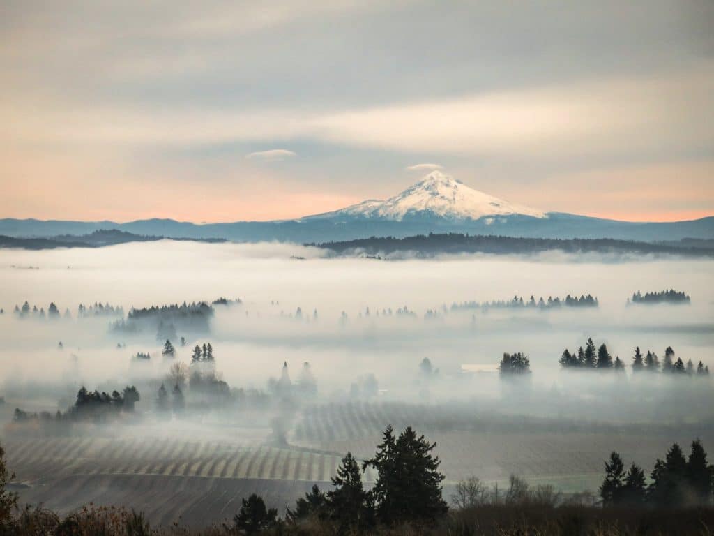 A snow-capped mountain rises above a thick layer of fog covering a forested valley at sunrise.