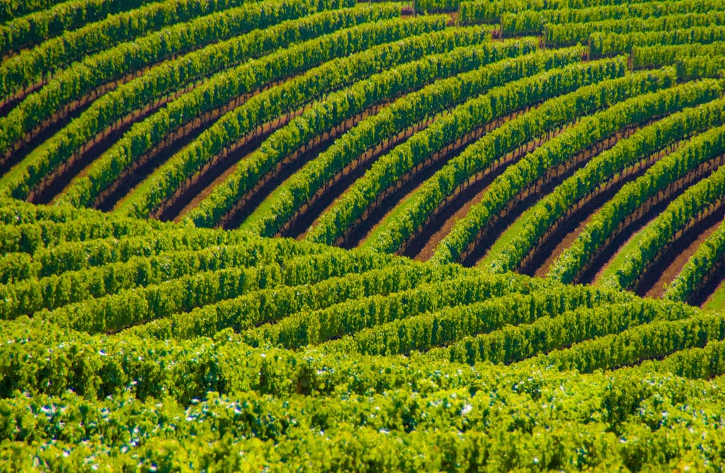 See Oregon Wine Country by Bike 1 Bike Routes in Oregon Wine Country, Willamette Valley