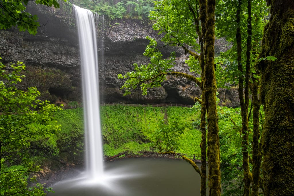 10 Fun Fall Things to Do in the Willamette Valley