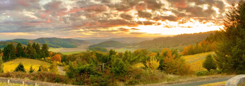 6 Reasons Our Willamette Valley Bed and Breakfast Is the Perfect Romantic Getaway 1 The spectacular view from our Willamette Valley Bed and Breakfast is one of its biggest draws.