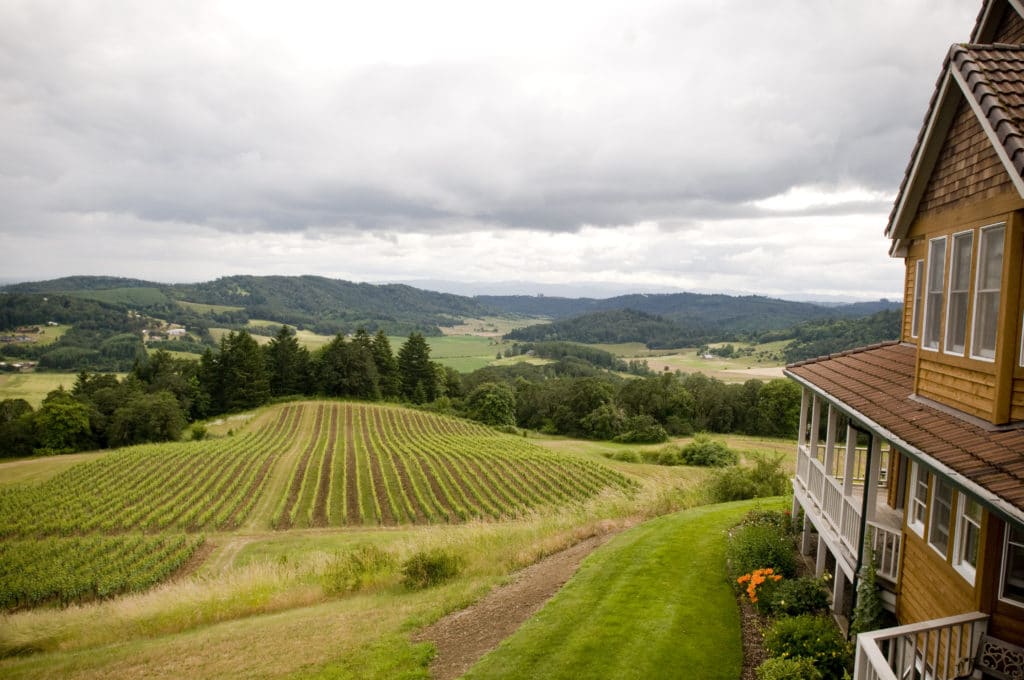 Our Willamette Valley Bed and Breakfast offers awe-inspiring views.