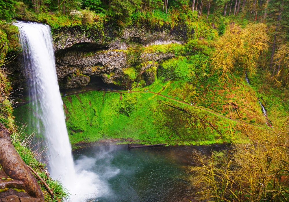 things to do in McMinnville 