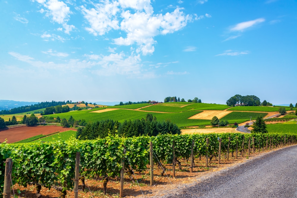 Things to do in McMinnville This Summer 1 things to do in McMinnville