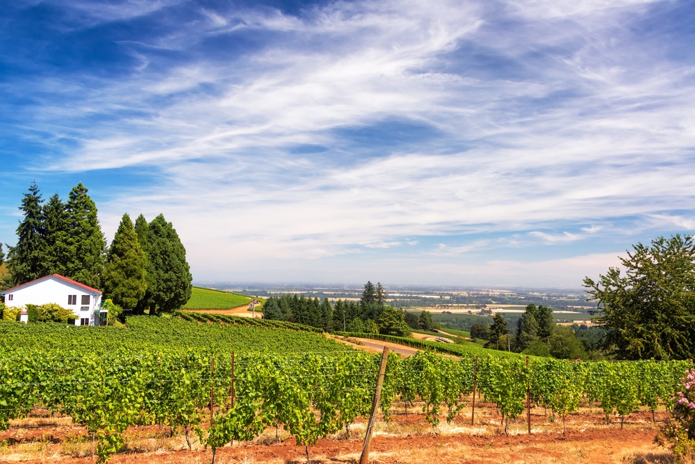 Newberg Oregon Wineries