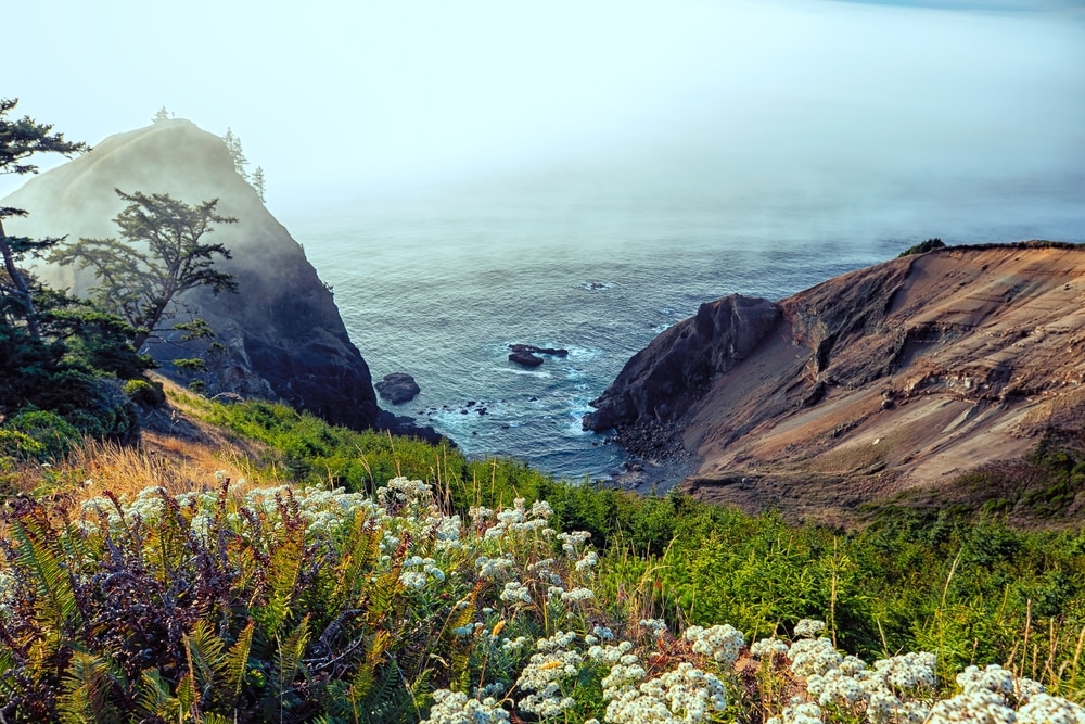 Things to do in Lincoln City