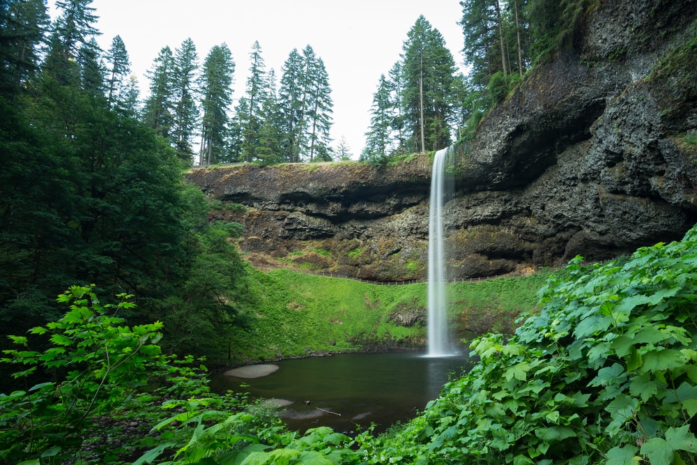 Check out these Stunning Waterfalls In Oregon 1 Waterfalls in Oregon