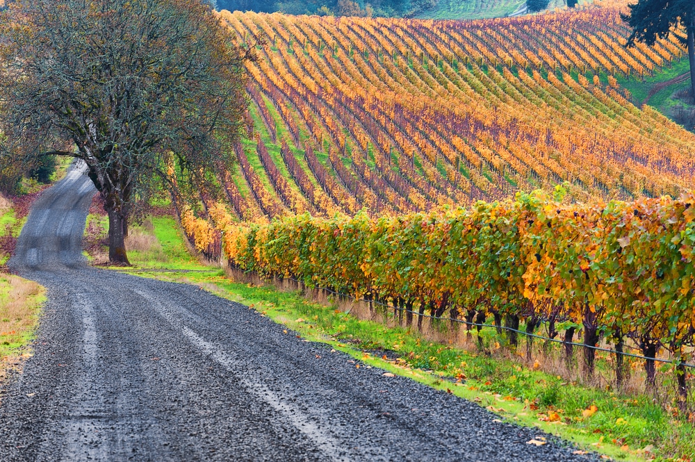 Dundee Oregon Wineries