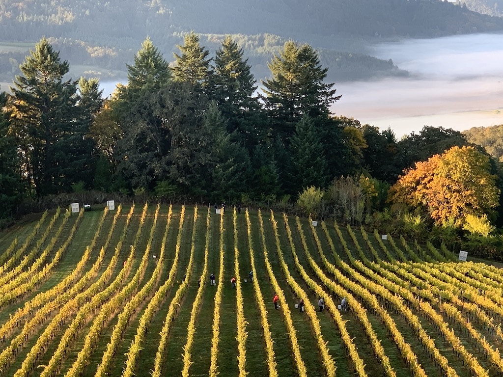 Incredible Things To Do In The Willamette Valley This Fall 1 Things To Do In The Willamette Valley