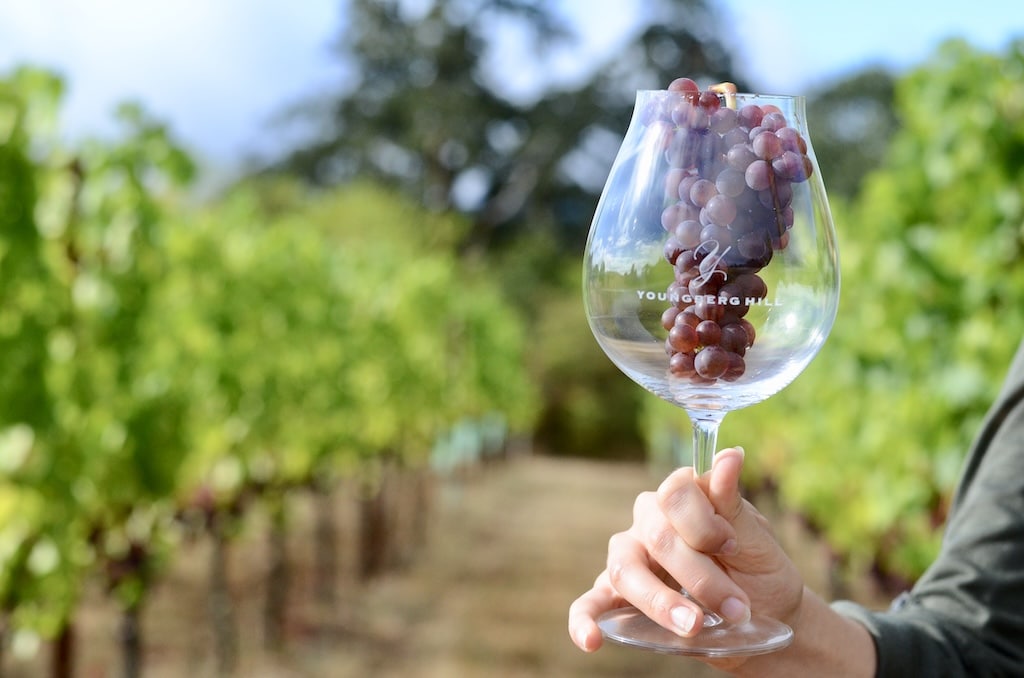 Your Guide to Oregon Wine Country by Region 1 Oregon Wine Country has 11 distinct wine AVAs