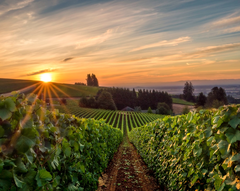 Things to Do in Newberg, Oregon near our Willamette Valley bed and breakfast