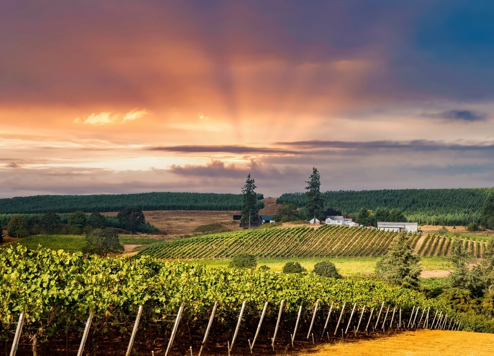 Spring is a Perfect Time for McMinnville Wine Tasting/Book Your Stay at our Bed and Breakfast in Willamette Valley